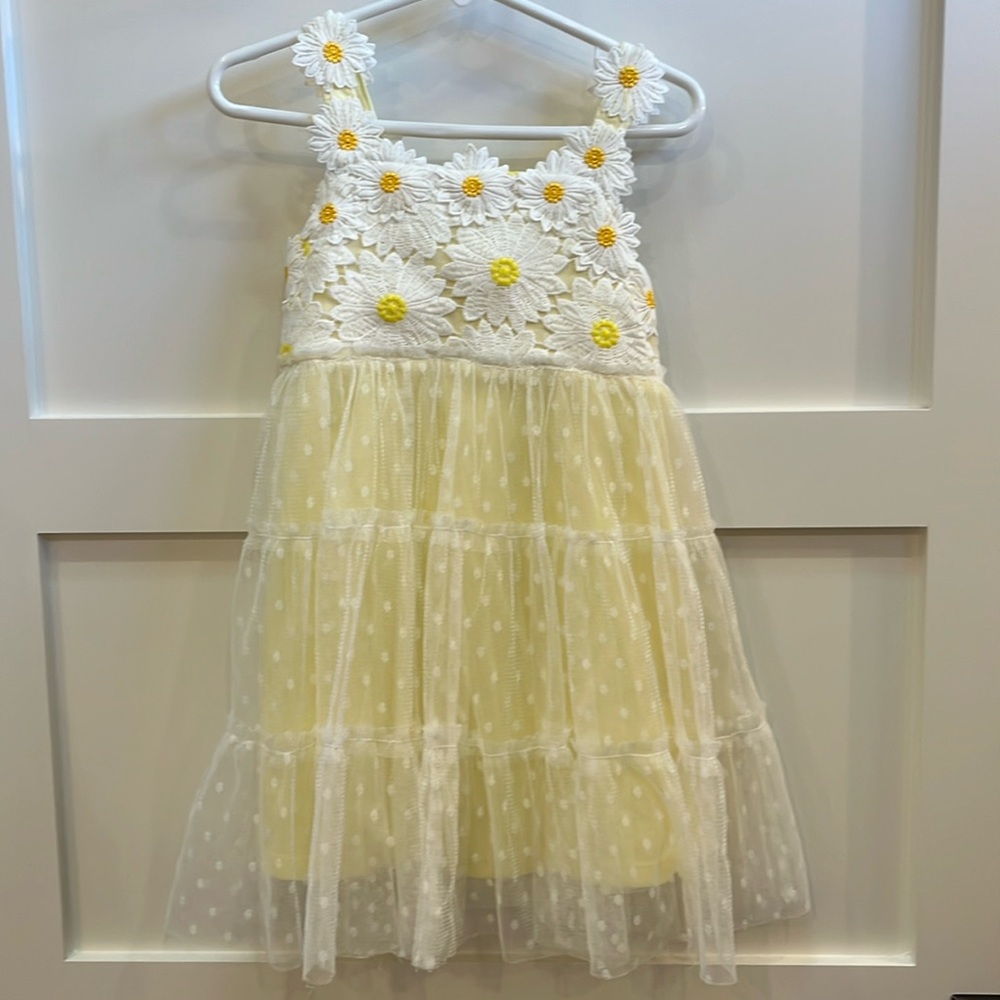 Baby Sara Daisy dress 4t